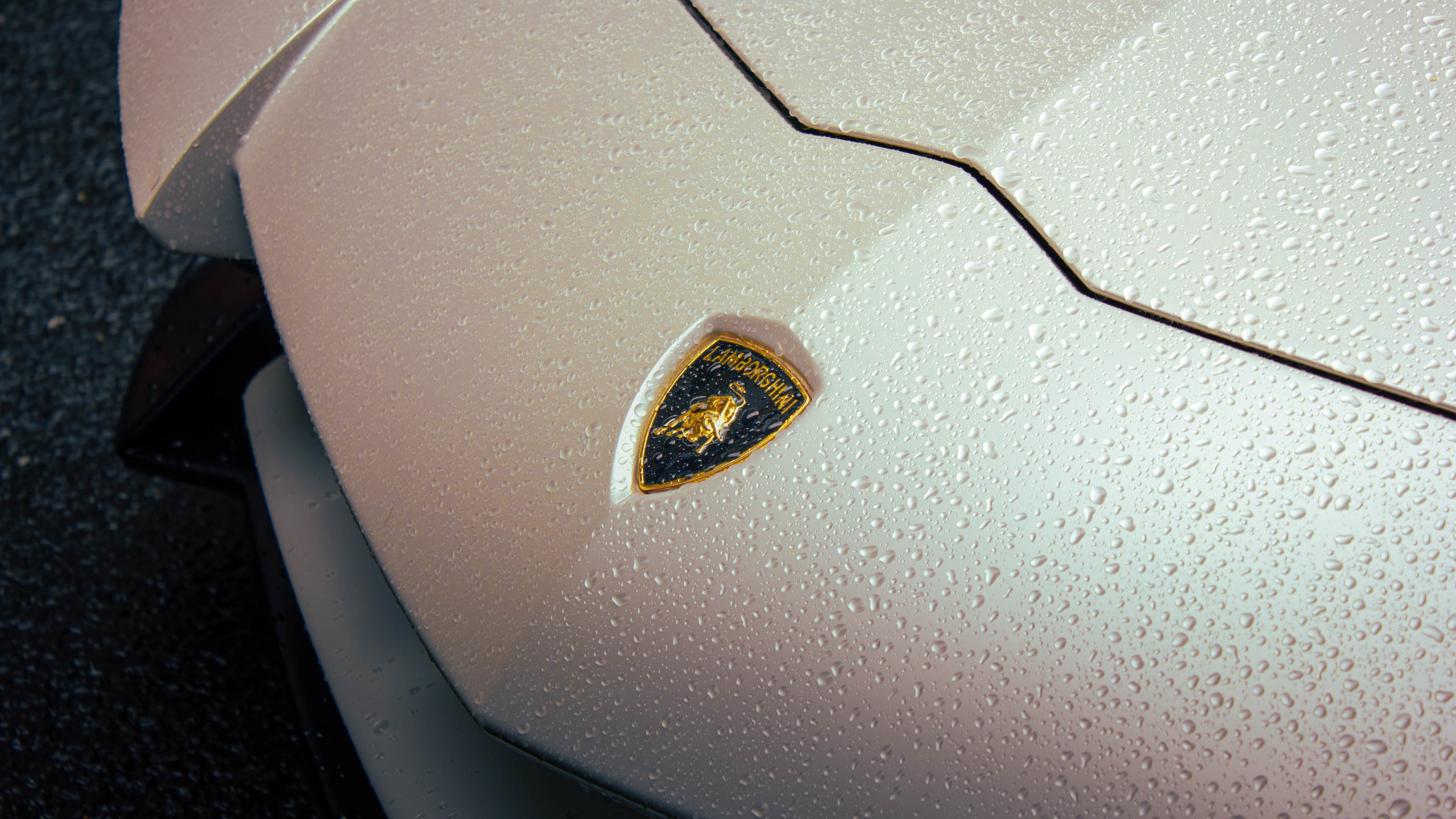 Lamborghini SV after-rain detail study, photograph 01 by Dani Oncins Roca